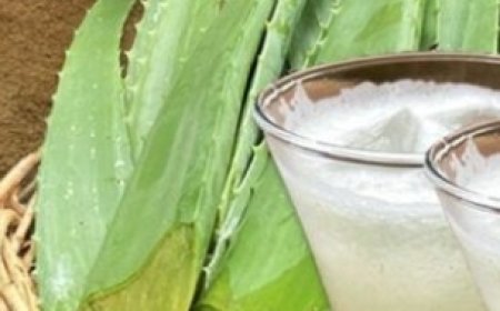 Refresh and Revitalize with Grandma’s Homemade Aloe Vera Juice