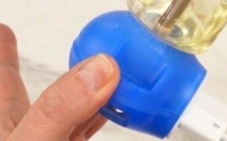 Homemade Mosquito Repellent for Your Electric Diffuser: Simple, Effective, and Economical