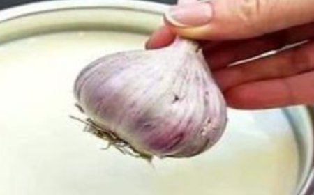 Unveiling the Potent Benefits of Garlic Milk: An Ancient Elixir for Modern Health