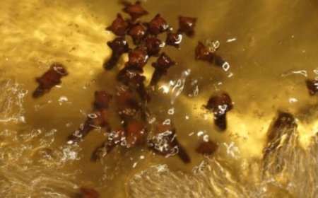 Clove Water Benefits at Night: A Simple Way to Enhance Your Health