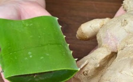 Natural Collagen! Apply It in the Evening, and in the Morning You Won’t Recognize Yourself in the Mirror