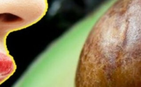 Unveiling the Hidden Benefits of Avocado Seeds