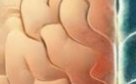 Never Eat Egg with “This” Cause Cancer and Dementia! 3 Best & Worst Food Recipe