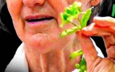 Dr. Barbara O’Neill: The 5 WORST FOODS Destroying Your Heart