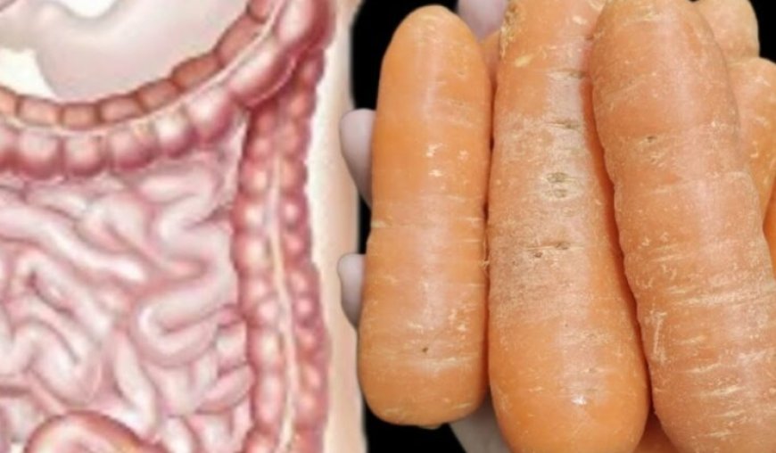 Revitalize Your Intestines and Liver in Just 3 Days with Carrots!