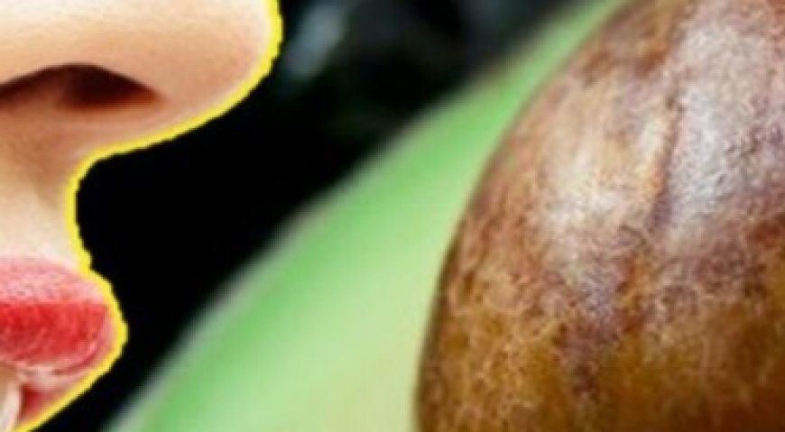 Unveiling the Hidden Benefits of Avocado Seeds