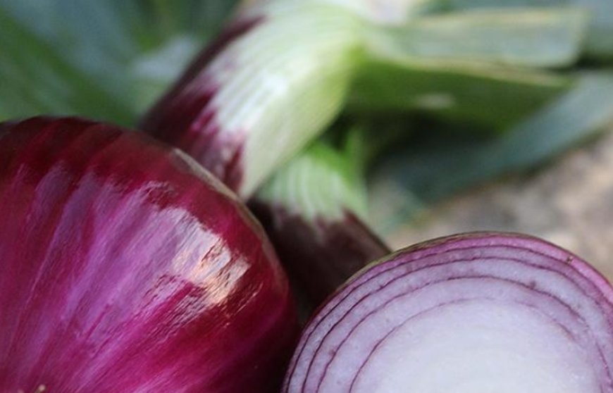 The Surprising Benefits of Eating Onions Every Day