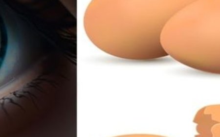 Unlocking the Visionary Benefits of Eggs for Eye Health