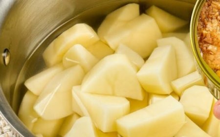 Everyone’s Buying CANNED TUNA After Seeing This Recipe! Cheap and Delicious Dinner!