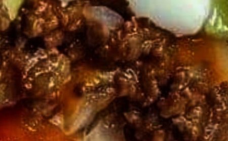 Cheesy Beef Burritos