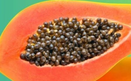 Top 3 Best Fruits to Eat After 50 for Better Health