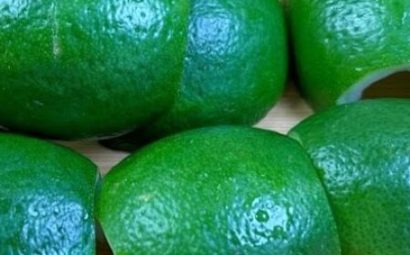 Don’t Throw Away the Lemon Peel: Discover Its Amazing Uses!