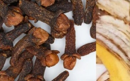 Natural Hair Treatment with Banana Peels, Aloe Vera, and Cloves