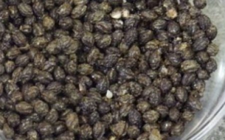 Dried Papaya Seeds: A Black Pepper Alternative