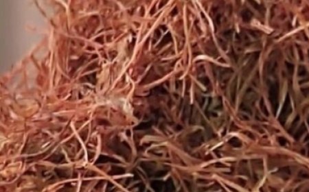 Boil Corn Silk, Drink the Liquid, and You Will Be Grateful for This Advice