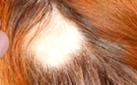 Just Mix Cloves with Coffee and You No Longer Need to Buy Them at the Market