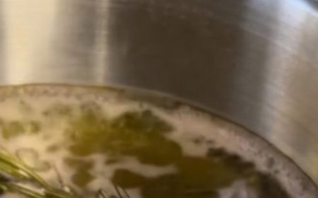 Unleash the Aromatic Magic of Rosemary in Your Home