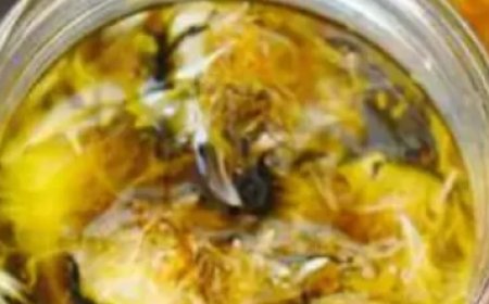 How to Make Dandelion Oil at Home