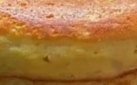 tender cake without sugar & flour