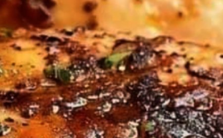 Poitrines de poulet farcies au brocoli et au fromage