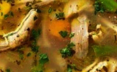 HOMESTYLE CHICKEN NOODLE SOUP