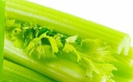 What Happens When You Drink Celery Juice Every Morning