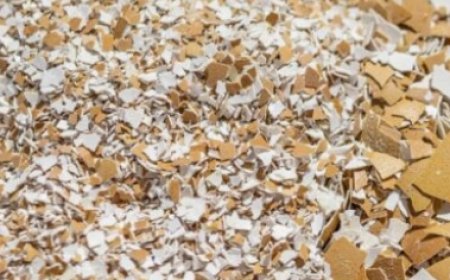 My Mother Could NOT Walk Because of Pain in Her Knees and Bones Until She Tried This! Eggshell Remedy