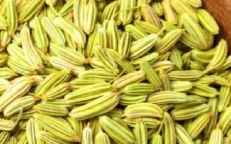Even a Pinch of Fennel Seeds Can Start an Irreversible Reaction in Your Body!