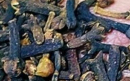 Put Cloves in Your Hand and You Won’t Have to Spend Money at the Pharmacy Anymore (Did You Know That?)