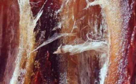 2 Dates After 50: Here is What Happens After 10 Days of Use