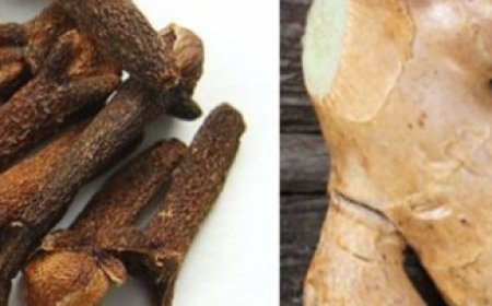 Warm Up with a Clove, Ginger, and Lipton Tea!