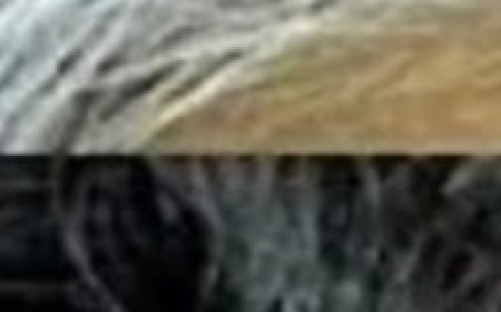 Grandmother’s Gray Hair Began to Turn Black: The Secret? Banana Peel!