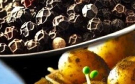 Unbelievable! It’s a Pain Killer! Eliminates Pain Like an Eraser!