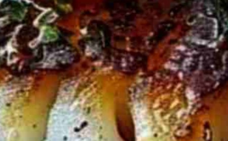 Pan-Seared Mediterranean Cod in Tomato Basil Sauce