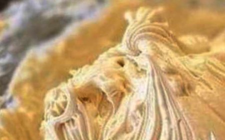 Without a doubt, the simplest and most delicious frosting ever!