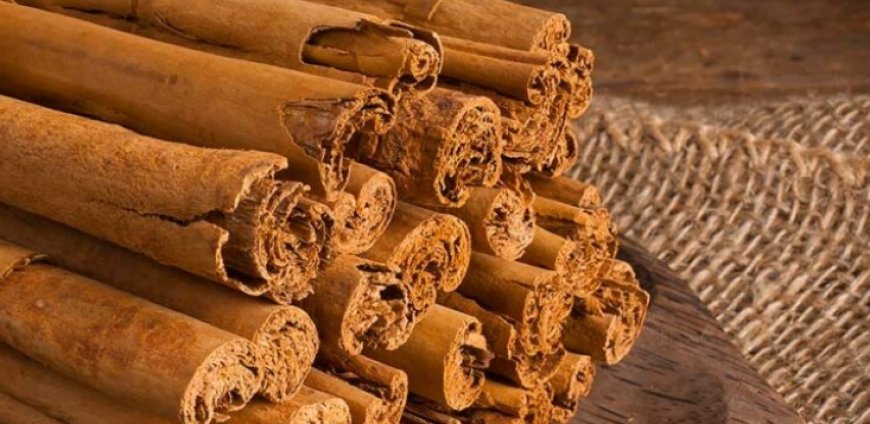 SHOCKING HEALTH BENEFITS OF CEYLON CINNAMON! 1 SPOON a Day Changes LIFE…