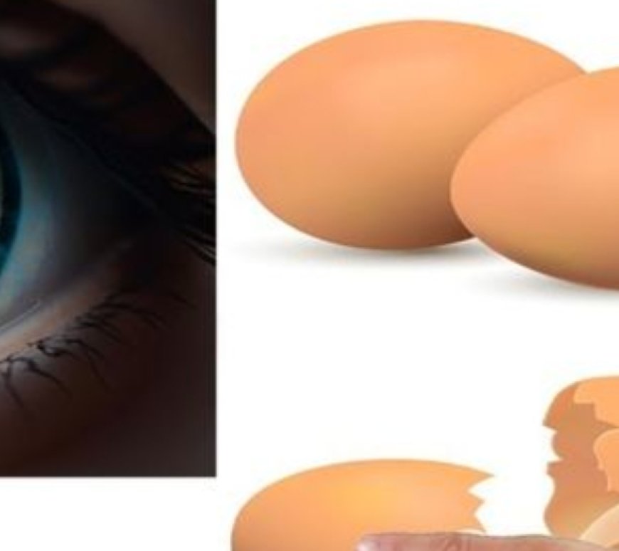 Unlocking the Visionary Benefits of Eggs for Eye Health