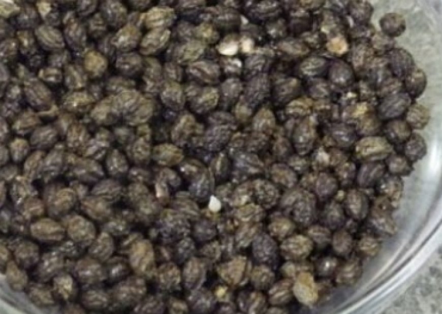 Dried Papaya Seeds: A Black Pepper Alternative