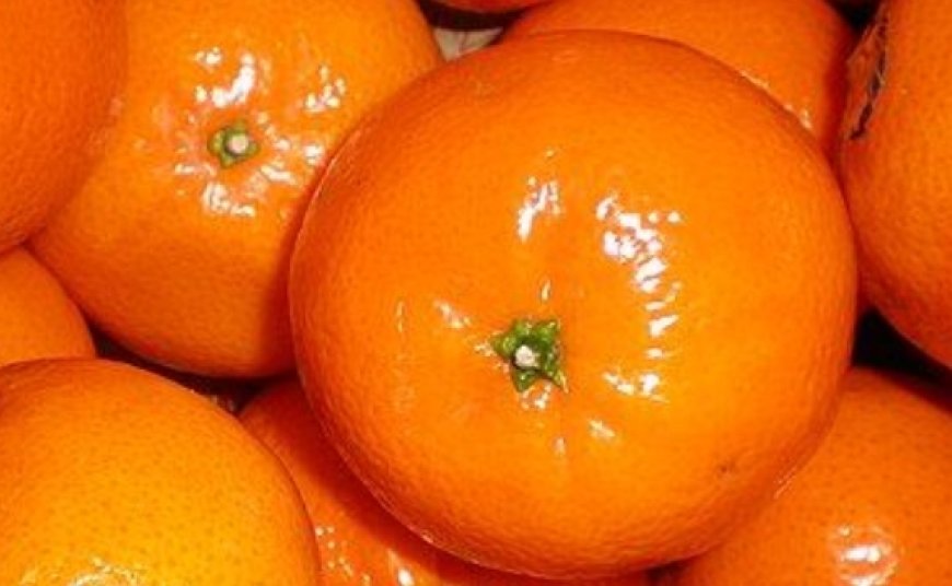 Clean Kidney, Liver, and Lungs with Mandarins: The Natural Bacteria Killer