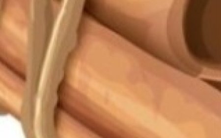 10 Health Benefits of Cinnamon You Need to Know