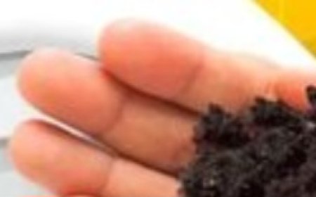 How to Eliminate the Smell of Urine in the Bathroom