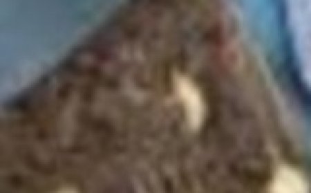 Transform Two Pots into a Potato Planter: A Space-Saving Gardening Hack