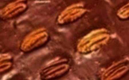 Texas Turtle Sheet Cake