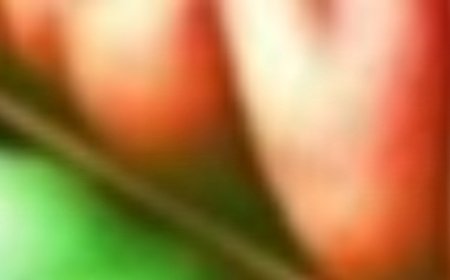 Place Just Two Cloves Under Your Pillow and See What Happens!