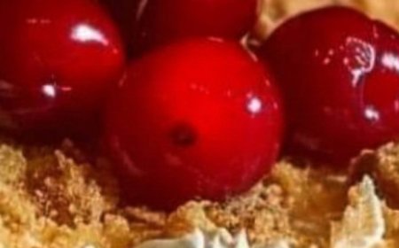 Cherry Cheesecake Lush