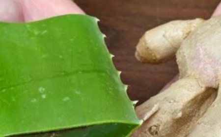 Natural Collagen! Apply It in the Evening, and in the Morning You Won’t Recognize Yourself in the Mirror