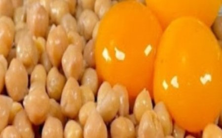 Chickpea Patties with Yogurt Dip Recipe: Delicious and Healthy