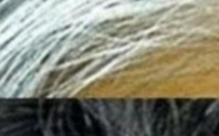 Gray Hair Disappears in 2 Minutes! 100% Efficient! (Did You Know That?)