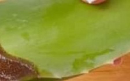 1000 Times Stronger Than Botox! Natural Collagen Aloe Vera! Erases All Wrinkles