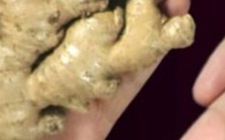 Boost Your Health with Ginger and Lime